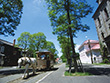 野外博物館 北海道開拓の村