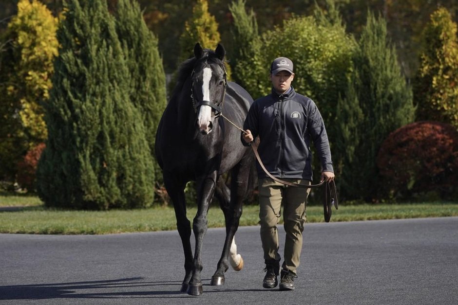 日本の競馬界に輝くレガシーを築く種牡馬たちが勢揃い「社台スタリオンステーションに行こう！バスツアー2026」参加者募集！