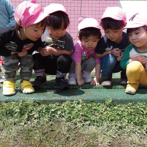 ふしこ幼稚園