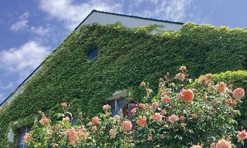 園開放・体験入園のお知らせ