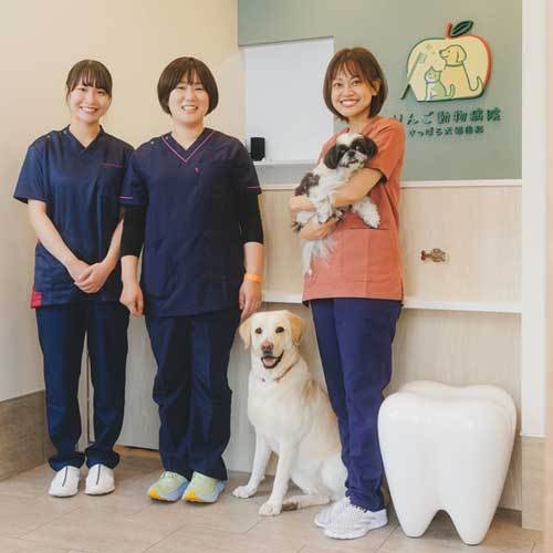 りんご動物病院 さっぽろ犬猫歯科