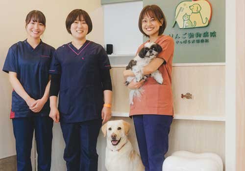 犬猫の歯科診療・予防で全身の健康をサポート！