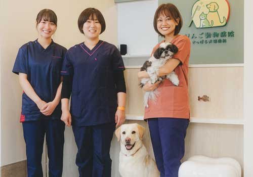 犬猫の歯科診療・予防で全身の健康をサポート！