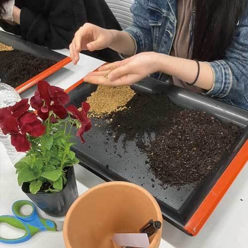 株式会社シュニコレ（日本園芸療法普及協会）