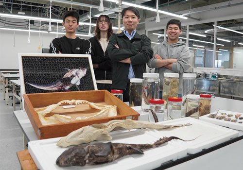 深海魚のヒミツに迫る！本物の標本を間近で観察してみよう
