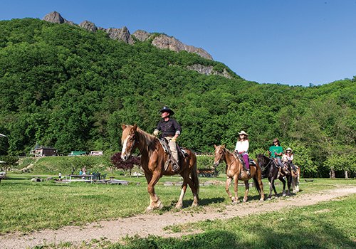 八剣山の麓で人馬一体！初心者歓迎します