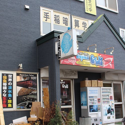 トロピカルジェム