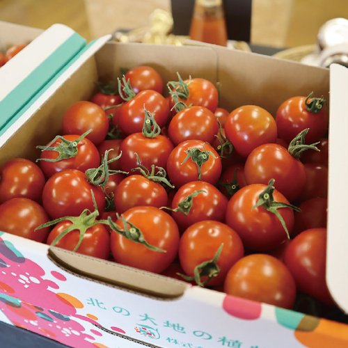 最先端技術が生み出す甘みたっぷりのトマトで食卓に彩りと栄養をプラス！