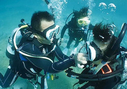 北海道の大自然を潜るしかない！！