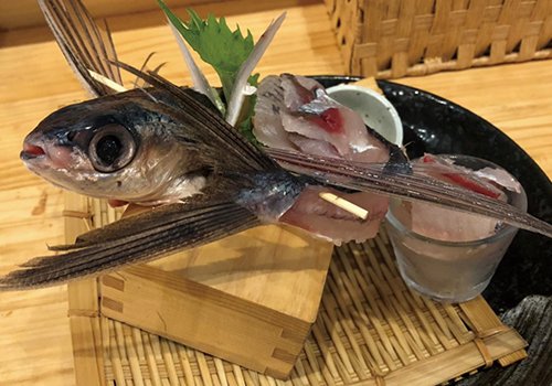 昼は定食屋、夜は居酒屋☆ 創成川沿いのアットホームなお店