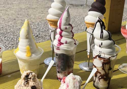 常時30種類以上のジェラートと超濃厚純生ソフトクリームが味わえる！