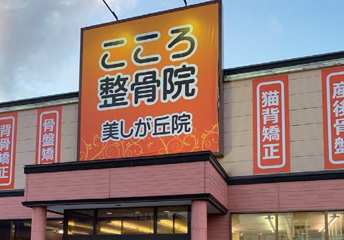整体×トレーニングであなた史上最も美しい体へ