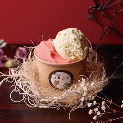  GELATERIA torinosu