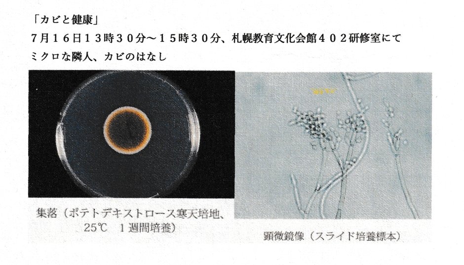 カビと健康