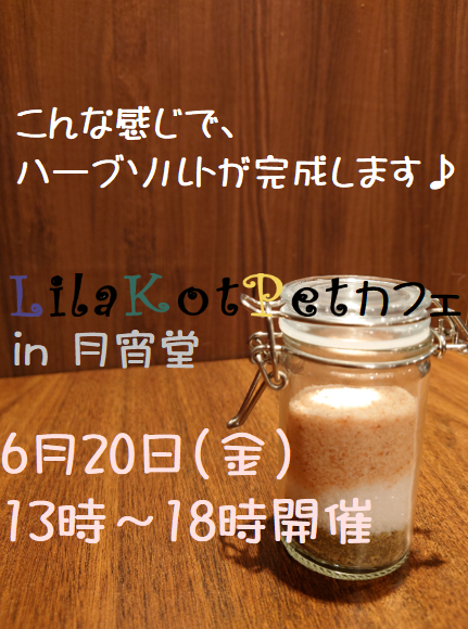 LilaKotPet(りらこっぺ)カフェ in 月宵堂
