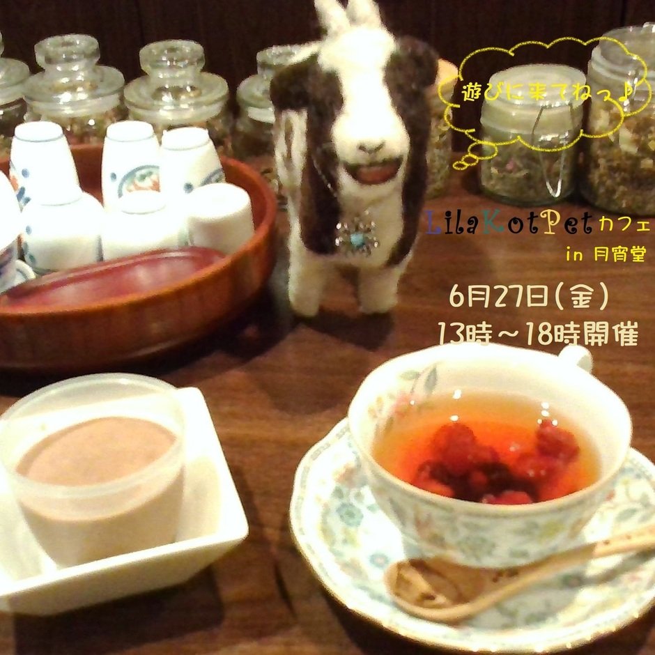 LilaKotPet(りらこっぺ)カフェ in 月宵堂