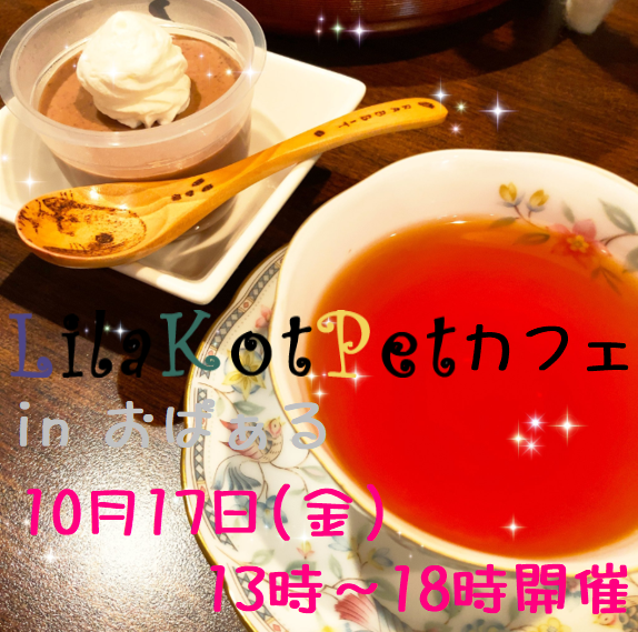 LilaKotPet(りらこっぺ)カフェ in おぱぁる