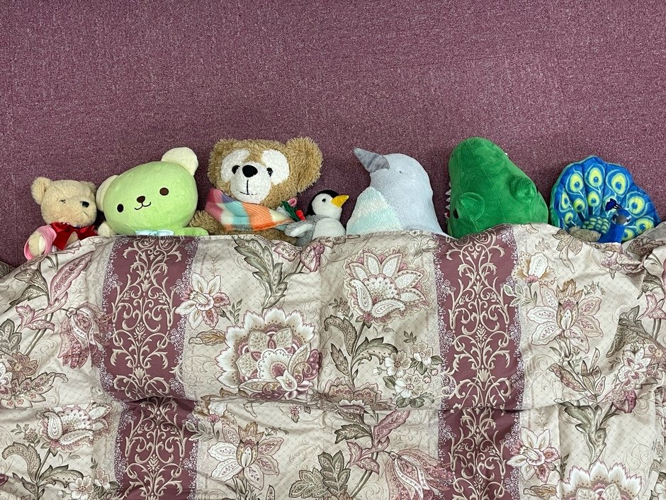 はちけん地区センター　ぬいぐるみのおとまり会