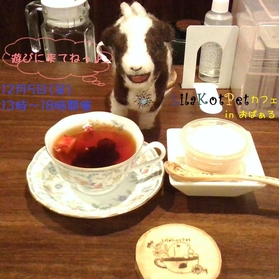 LilaKotPet(りらこっぺ)カフェ in おぱぁる