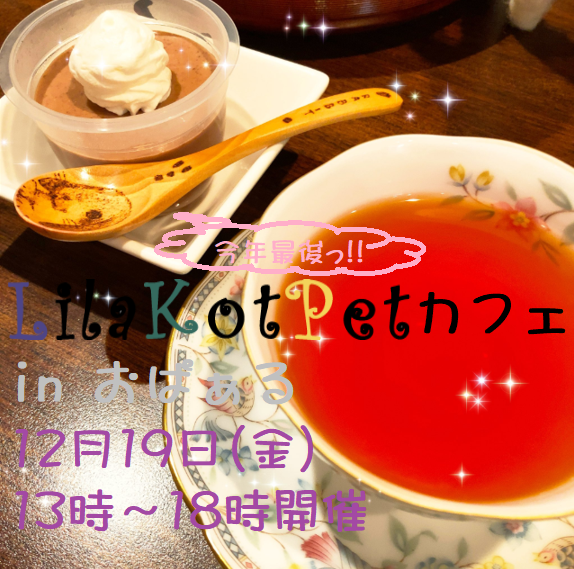 LilaKotPet(りらこっぺ)カフェ in おぱぁる