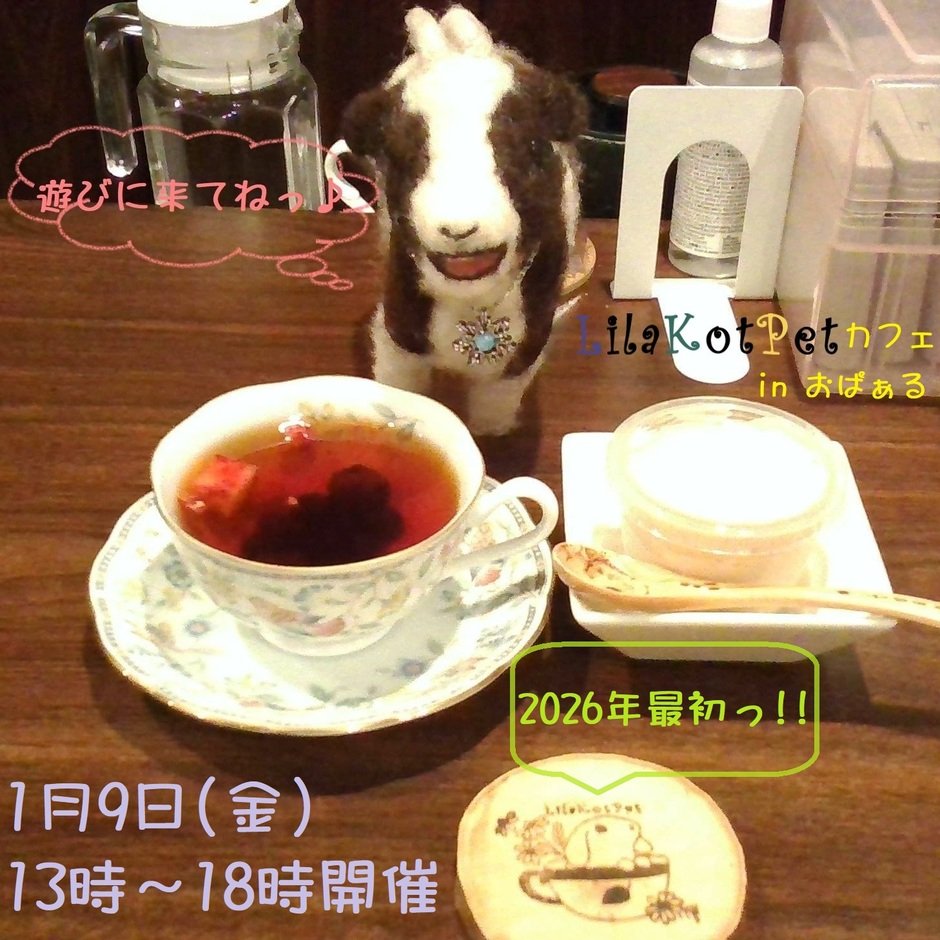 LilaKotPet(りらこっぺ)カフェ in おぱぁる