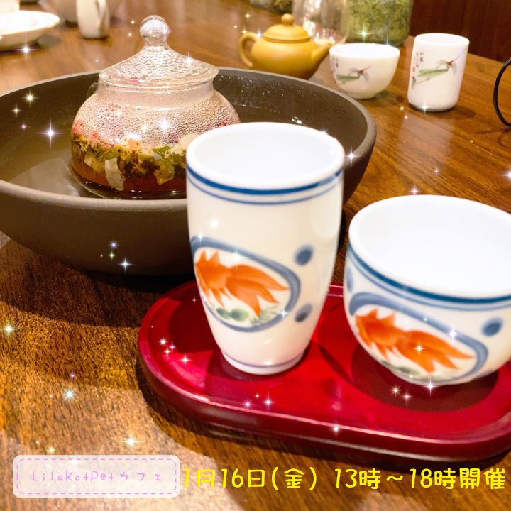 LilaKotPet(りらこっぺ)カフェ in おぱぁる