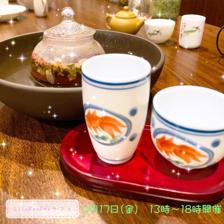 LilaKotPet(りらこっぺ)カフェ in おぱぁる