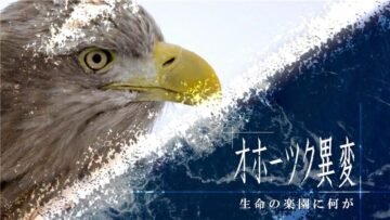 道民に知らせたい環境の異変。NHKドキュメンタリー「北海道道スペシャル　オホーツク異変 ～生命の楽園に何が～」2026年1月9日(金)夜7時... [JP01【公式サイト】]