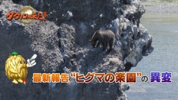 NHK「ダーウィンが来た!」　北海道・知床半島でなにが・・・「最新報告“ヒグマの楽園”の異変」2/1放送! [JP01【公式サイト】]