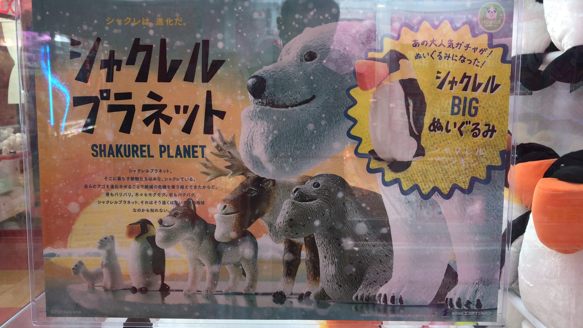 シャクレルプラネットのペンギンの大きなぬいぐるみが入荷しました pic.twitter.com/U0wdywUnIk [ワンダーシティ札幌 プラボ札幌西町店【Twitter】]