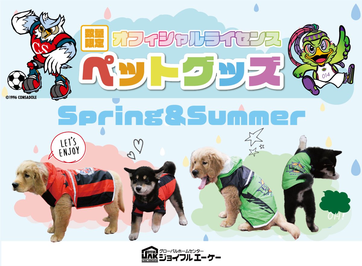 ／📣コラボグッズ情報✨＼#レバンガ北海道 オフィシャルスポンサーの #ジョイフルエーケー 様との待望のペットコラボグッズ第二弾 ✌️... [レバンガ北海道【Twitter】]