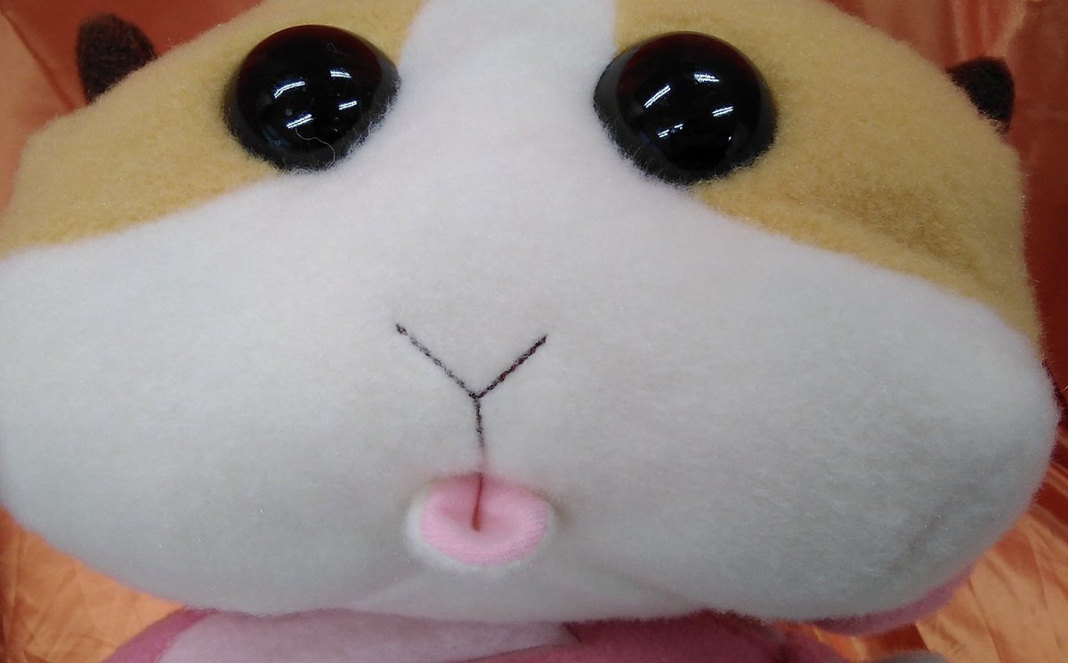 コストの関係で省略されちゃうだろうと思っていたこの口がちゃんと再現されてるのが嬉しいです。個人的にモルカーの一番好きな部分が... [ワンダーシティ札幌 プラボ札幌西町店【Twitter】]