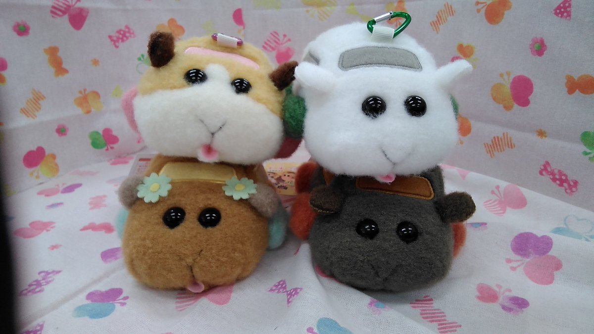 PUI PUI モルカーのポーチも入荷しました。こちらも質感と口が再現されてますね。ポテトとシロモとチョコ、そして僕が一番好きなテデ... [ワンダーシティ札幌 プラボ札幌西町店【Twitter】]