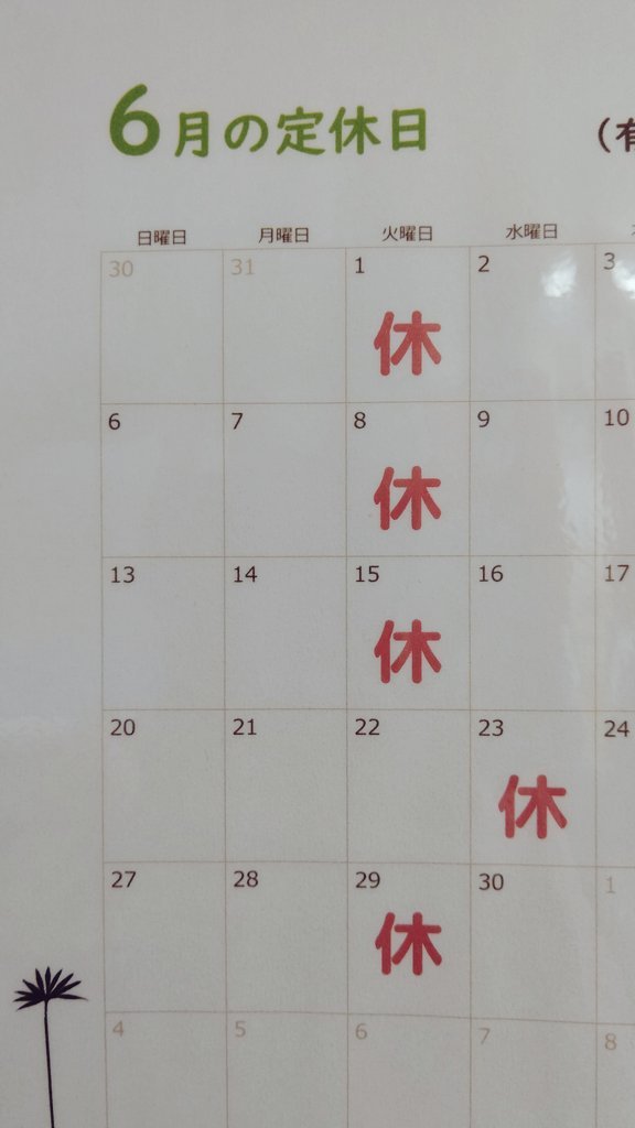 来たついでにちょっとお知らせしますね🐈明日は火曜日なので定休日。で、来週は水曜日をお休みにさせていただきます。火曜日は通常... [おもちゃの平野【Twitter】]