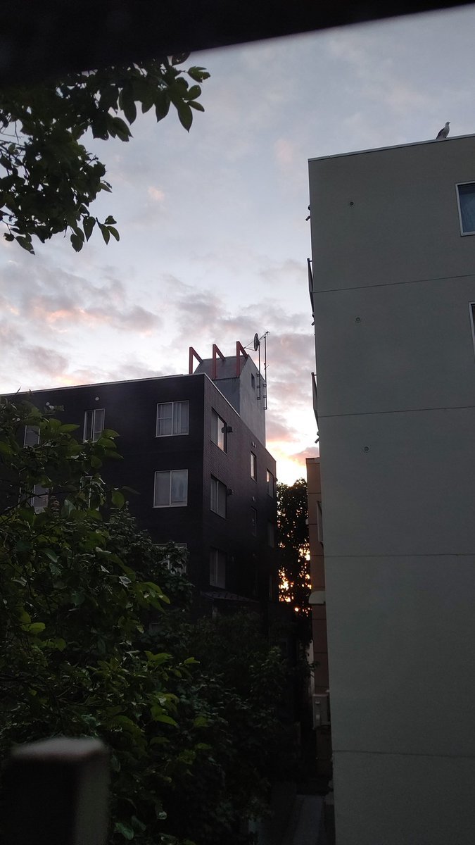 今日は夏至７時過ぎても、まだ明るい。 [おもちゃの平野【Twitter】]