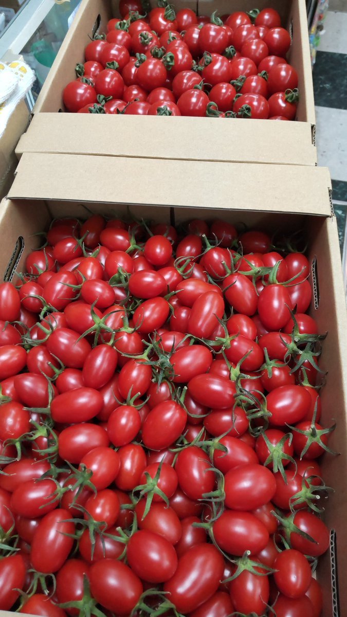 本業が農家のお客様からトマトを大量にいただきました!ありがとうございます。たくさんトマトすき焼き出来ます!（笑） [おもちゃの平野【Twitter】]