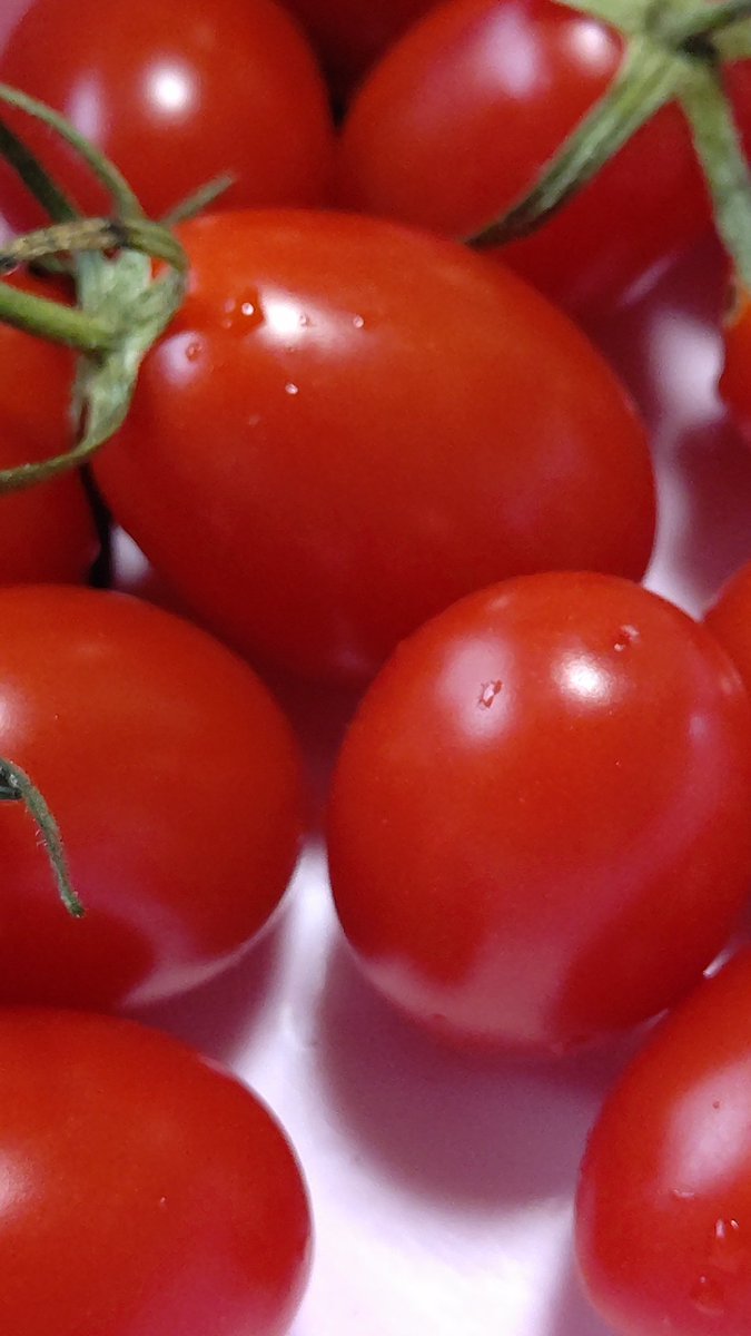 おはようございます☁ミニトマト🍅とピーマン🫑をたくさんもらっていろいろ作ってみてるんですがまだ減らないのでお弁当箱に入れて持っ... [おもちゃの平野【Twitter】]