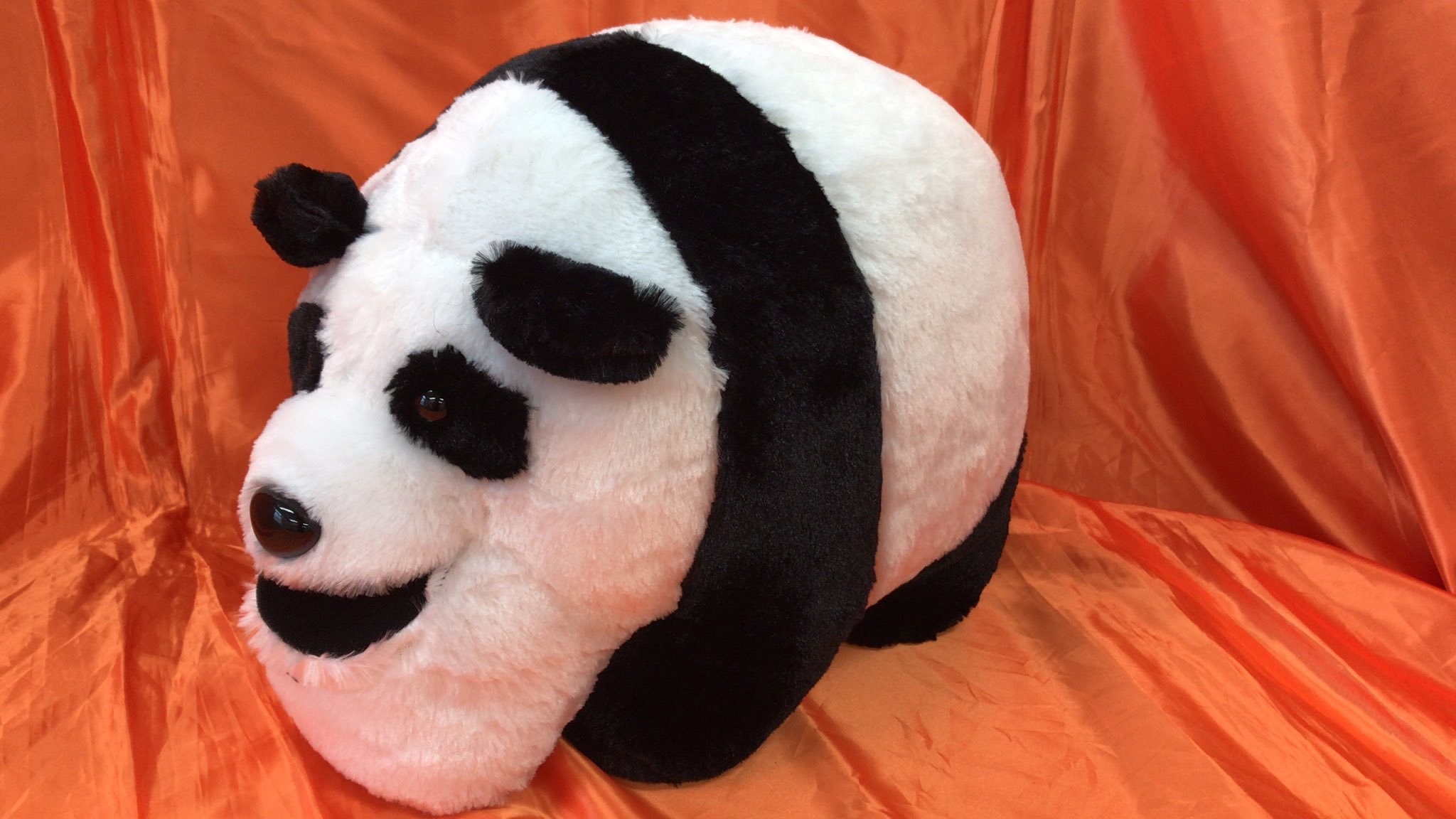 シャクレルプラネットよりパンダの超BIGぬいぐるみが入荷しました。人気のパンダのとても大きなぬいぐるみです！  #シャクレルプラネット pi... [ワンダーシティ札幌 プラボ札幌西町店【Twitter】]