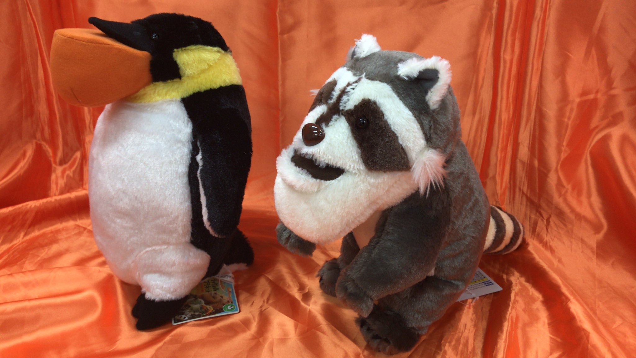 シャクレルプラネットのぬいぐるみが入荷しました。アライグマとペンギンの2種類ありますよ  #シャクレルプラネット pic.twitter.c... [ワンダーシティ札幌 プラボ札幌西町店【Twitter】]