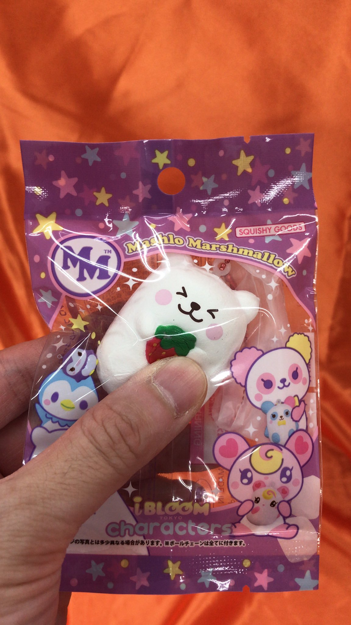 ブルームのキャラクターがマシュマロみたいな柔らかいマスコットで登場です。19種類もありますよ  #ブルーム pic.twitter.com/... [ワンダーシティ札幌 プラボ札幌西町店【Twitter】]