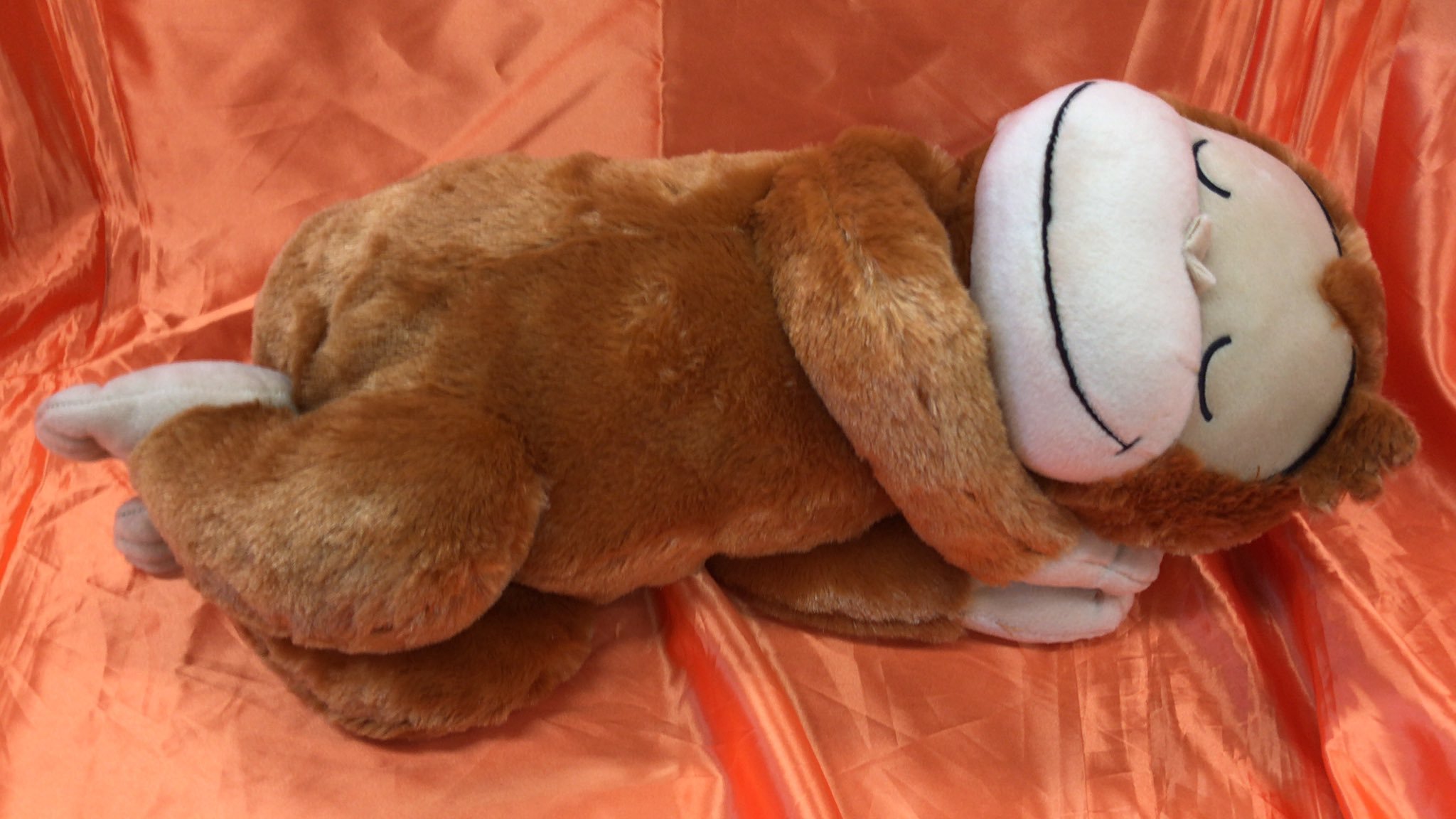 おさるのジョージ　メガジャンボおやすみぬいぐるみが入荷しました。気持ち良さそうに寝ているジョージのぬいぐるみです。お子様のお昼寝のお供におす... [ワンダーシティ札幌 プラボ札幌西町店【Twitter】]