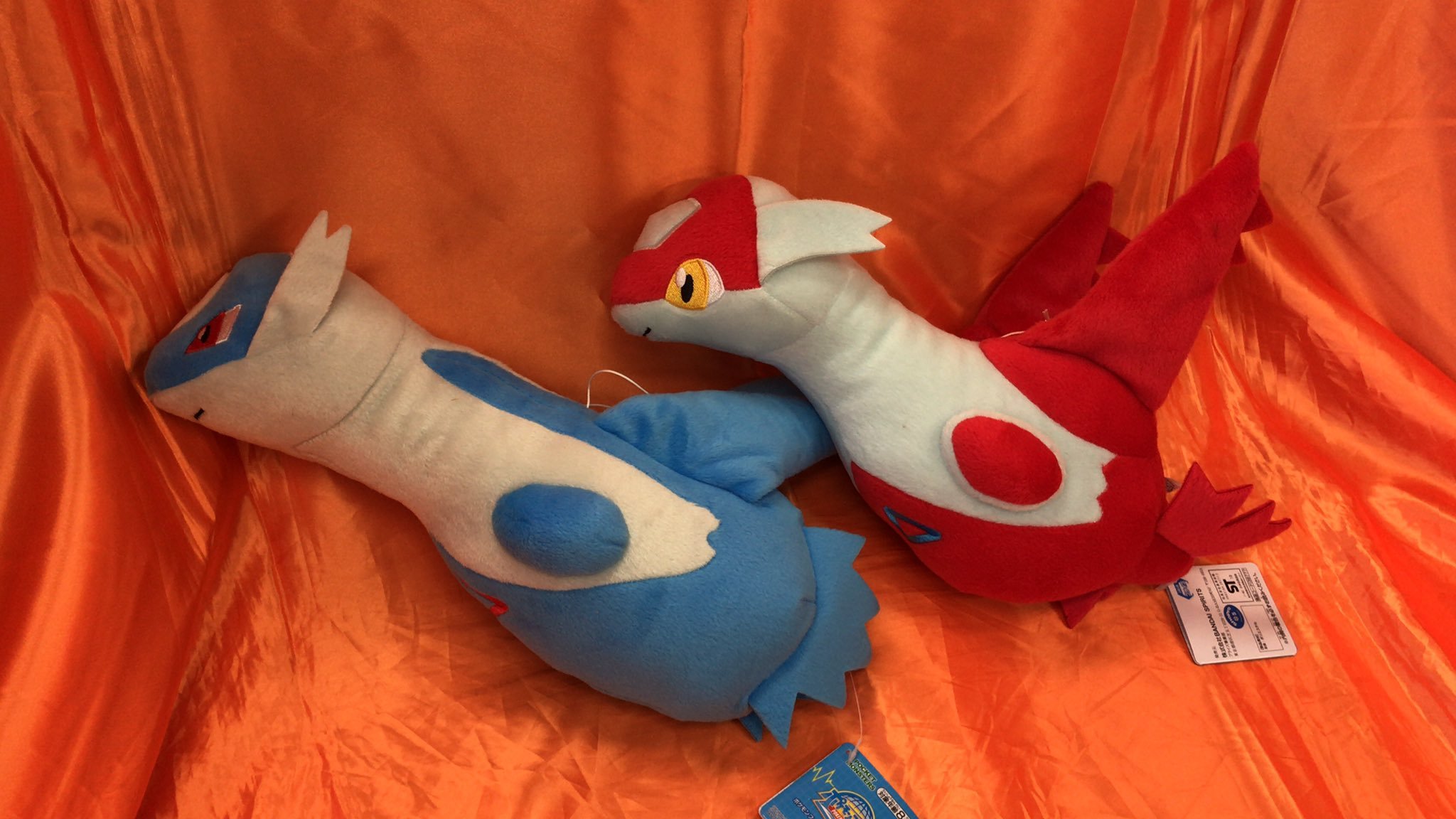 ポケモンフォーカス〈伝説のポケモン〉でっかいぬいぐるみ  〜ラティアス・ラティオス〜　が入荷しました。伝説のポケモンのちょっと大きいぬいぐる... [ワンダーシティ札幌 プラボ札幌西町店【Twitter】]