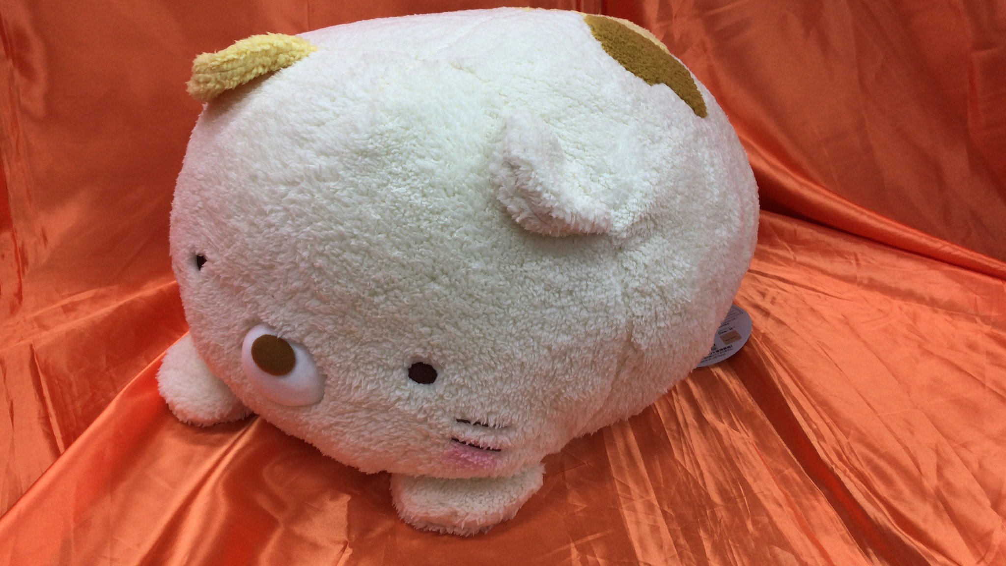 すみっコぐらしより、ほんのりほっぺうつぶせぬいぐるみＸＬプレミアム　ねこが入荷しました。なんとも言えない表情をしてますね　 #すみっコぐらし... [ワンダーシティ札幌 プラボ札幌西町店【Twitter】]