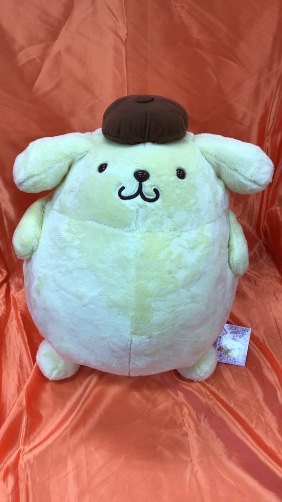 ポムポムプリン　ぷくぷくプリン　BIGぬいぐるみが入荷しました。まんまるとした体型のポムポムプリンの大きなぬいぐるみです　 #ポムポムプリン... [ワンダーシティ札幌 プラボ札幌西町店【Twitter】]