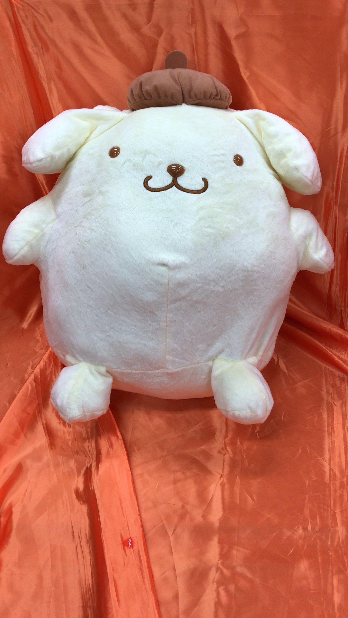 ポムポムプリン　超超BIGぬいぐるみ　-ふんわりカラー- が入荷しました。かなり大きいです！　 #ポムポムプリン pic.twitter.c... [ワンダーシティ札幌 プラボ札幌西町店【Twitter】]