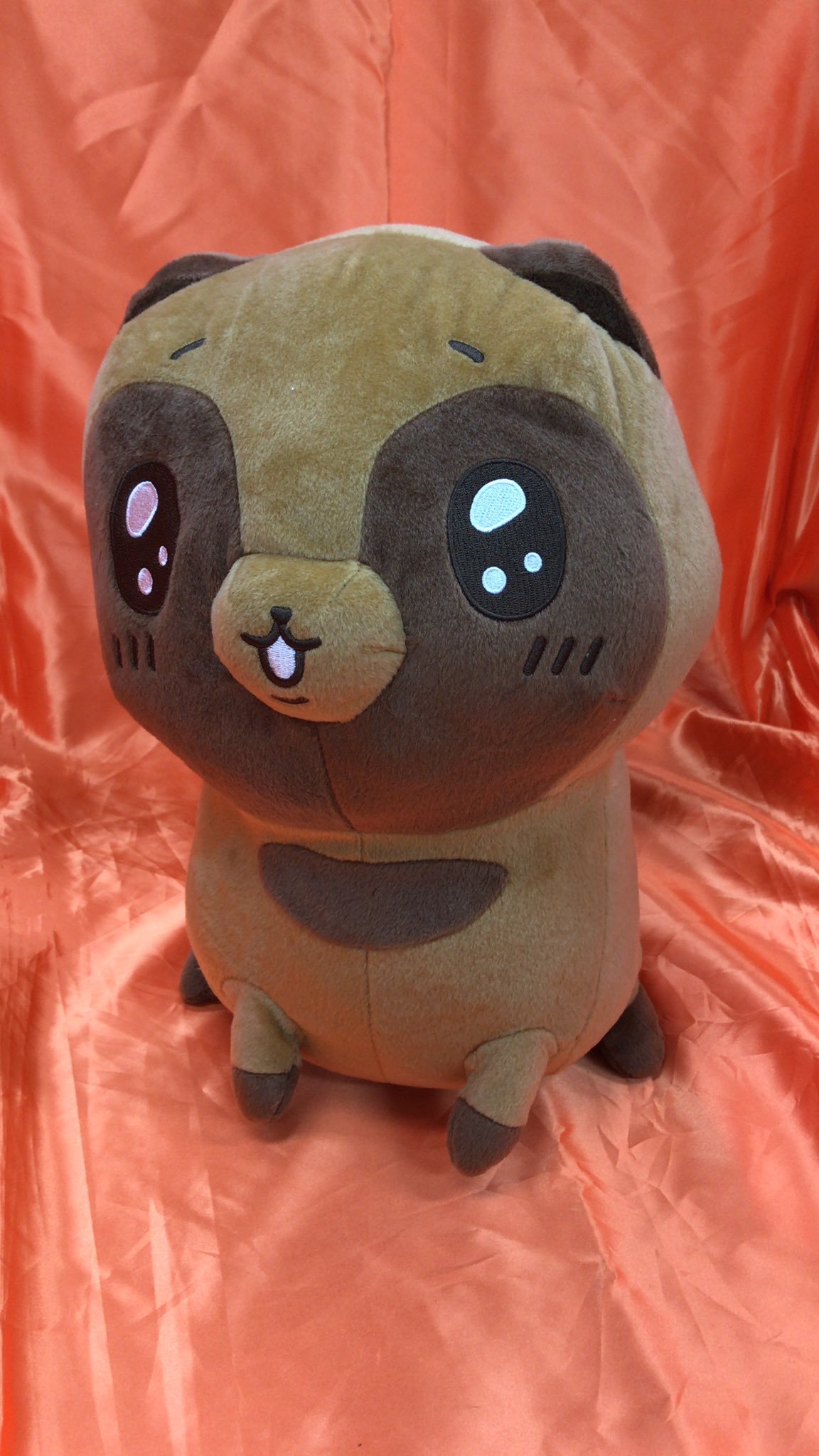 タヌキとキツネ　めちゃでかぬいぐるみ　タヌキ　〜かわいいタヌキとキツネ〜　が入荷しました。ウルウルお目目のかわいいタヌキのとても大きなぬいぐ... [ワンダーシティ札幌 プラボ札幌西町店【Twitter】]