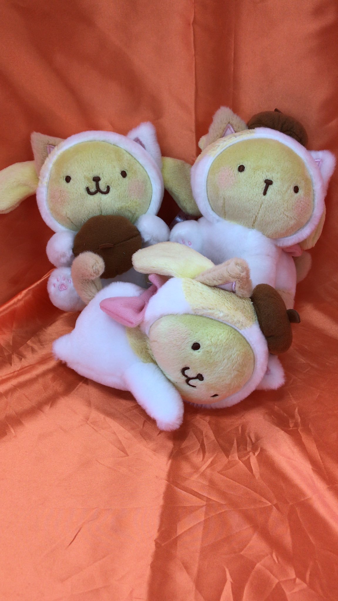 ポムポムプリン　こねこねこぬいぐるみ　〜ポムポムプリン〜　が入荷しました。子猫の着ぐるみを着た、色んなポーズのプリンのぬいぐるみです。背中の... [ワンダーシティ札幌 プラボ札幌西町店【Twitter】]