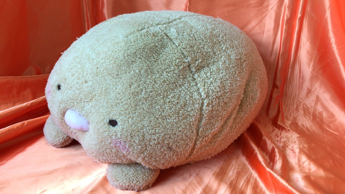 すみっコぐらし　ほんのりほっぺ　うつぶせぬいぐるみXL プレミアム　とんかつ　が入荷しました。とんかつの大きなふわふわのぬいぐる... [ワンダーシティ札幌 プラボ札幌西町店【Twitter】]