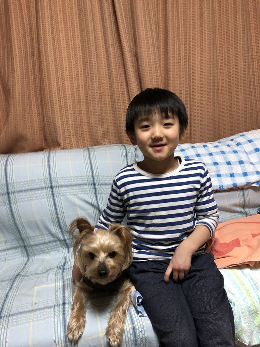 🐾ふりっぱーWebの紹介ペットちゃん🐾散歩大好きなエルモもおじいちゃんになり、散歩がおっくうになってきました。最近はまた散歩意欲... [ふりっぱーweb ペット写真【Twitter】]