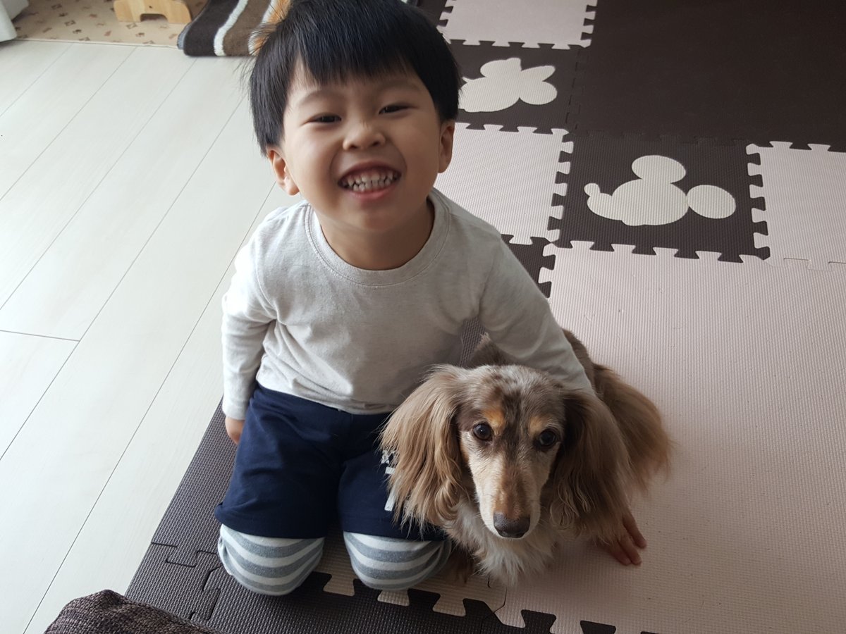 🐾ふりっぱーWebの紹介ペットちゃん🐾いつも子守り＆癒しをありがとう(ハート)名前は、くらんきぃ🐱自慢のペット写真募集中です🐶ht.... [ふりっぱーweb ペット写真【Twitter】]